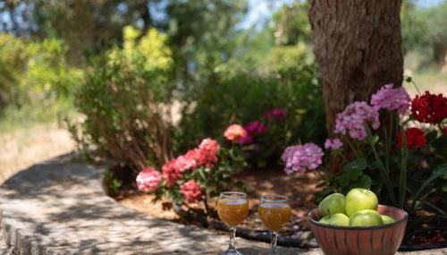 Aura Traditional Apartment - Foto 4, Garden