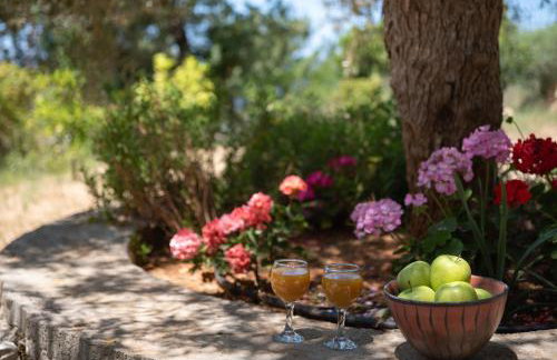 Aura Traditional Apartment - Foto 4