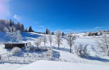 MV Vacances - Foto 30