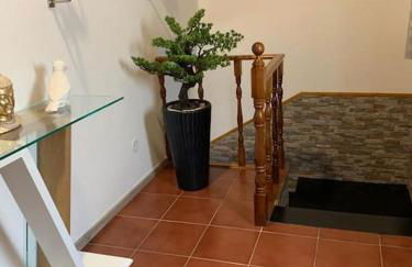 Brisa da Ribeira - Photo 22