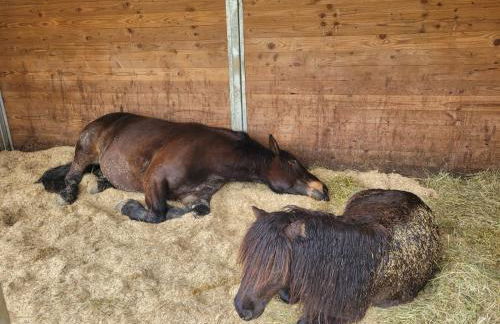 Lieblingsplatz - Foto 17