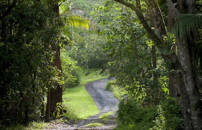 Nimbin Waterfall Retreat - Photo 36