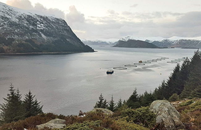 4 Person Holiday Home in Selje - Foto 28