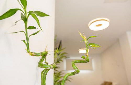 Bambú Suites Vegueta Alquiler por Habitación - Foto 31