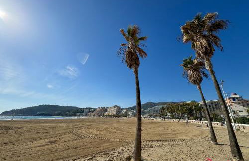 El Rincón de la Concha - Foto 9