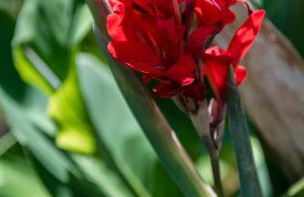 Residence Fischerhof - Foto 44