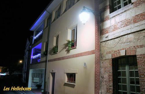Les Hellebores - Foto 64