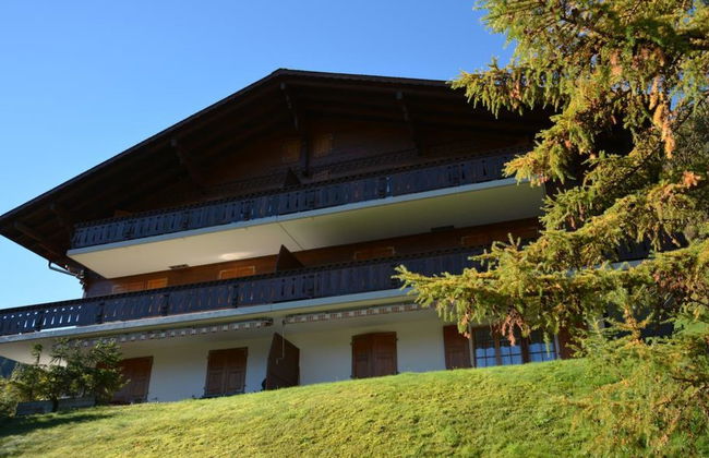 Hornflue (Wohlwender) - Foto 1