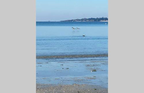 CAP COZ Sea Side FOUESNANT - Foto 30