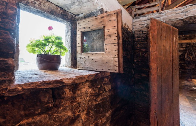 Villa Petrovi Dvori - Foto 28