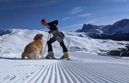 Froetscherhof, Urlaub auf dem Bio-Bauernhof in Brixen, Appartments, Sauna und BrixenCard - Foto 33