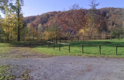 Chalet Domaine du Hulobiet - Foto 43