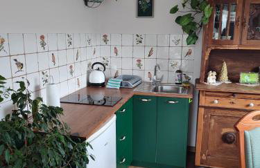 Zielona Przystań - Foto 35