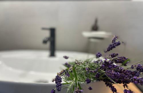 Między Brzozami - Foto 24