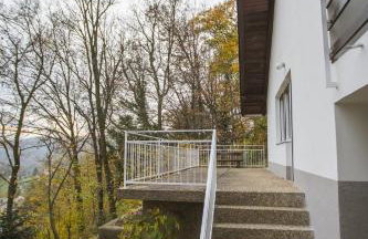 Old Chestnut Vacation Home - Foto 57