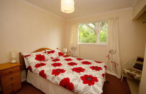 Home Comforts in Peaceful 2 Acres - Photo 40