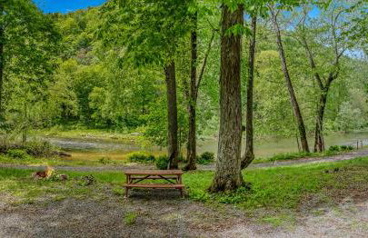 River Walk Cottage - Hot Tub - Pet Friendly - Swing - Screen Porch - River Access - Fire Pit - Wifi - Grill - Deck - King Bed - Foto 45