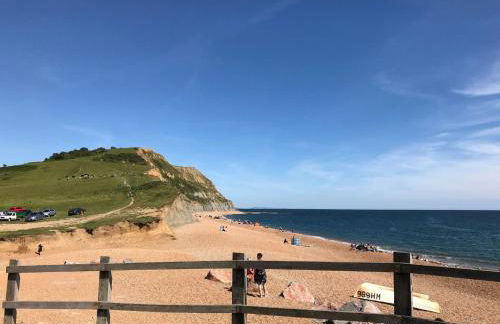 Apple Blossom - Photo 33