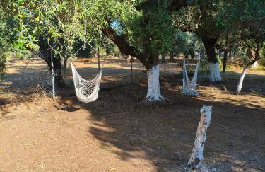 Petrohori before midnight - Foto 53