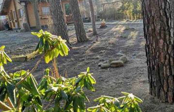 FEWO PARTNERS Haus Clemens - Gemütliches Holzhaus mit Grundstück nahe Badesee - Photo 28