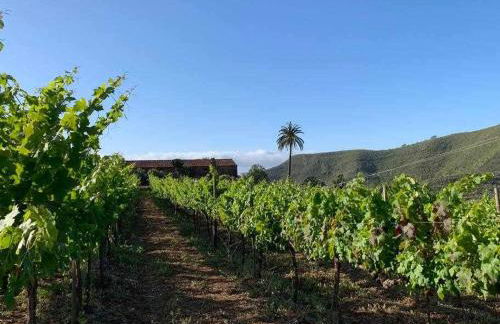 Casa rural cerca de la costa de La Laguna - Foto 13