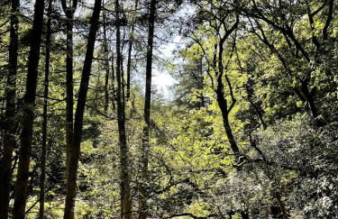 Bear Cottage, Tyn Y Cwm - Foto 22