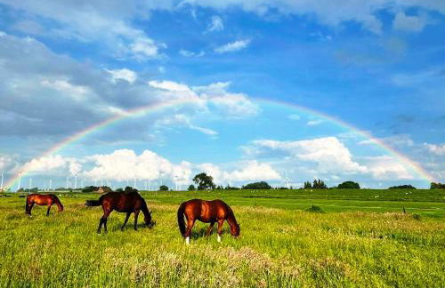 Ferienhof Reimers - Foto 3