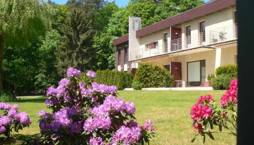 Leśna Wisełka - Foto 3, Garden