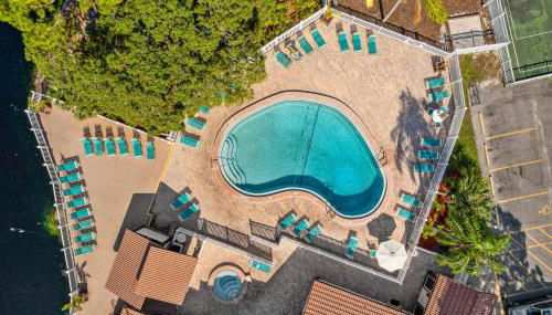 Palm Lagoon - Foto 5