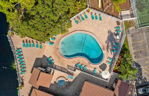 Palm Lagoon - Foto 5