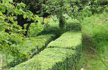 Stylish Scottish Manor, Coillemore House - Foto 5