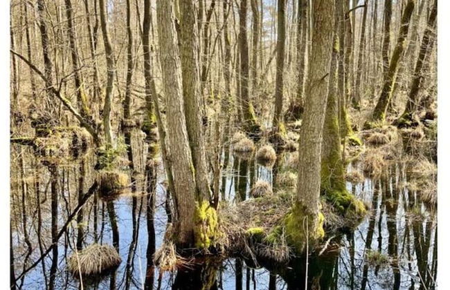 Holiday Home Marla Comfortable Vacation Home - Foto 13