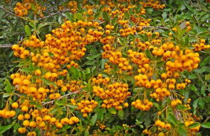 Agriturismo La Fonte - Foto 51