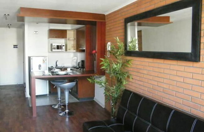 Santiago Suite Apartment - Photo 11