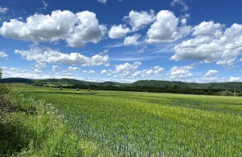 small accomondation with possibility for wellness - Foto 6