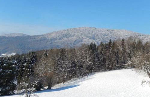 Ferienwohnung Hirtreiter - Foto 19
