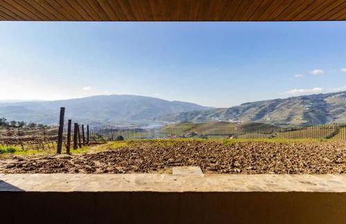Douro Valley Luxury Home with Vineyard and Infinity Pool - Photo 25