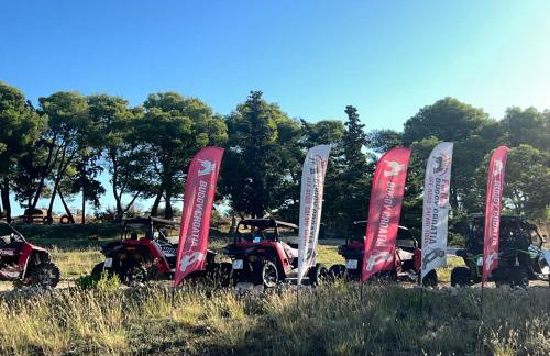 Appartement Vila Fajen - Foto 51