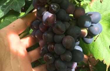 Privat Apartment- Near Strasbourg, Baden Baden - Foto 48