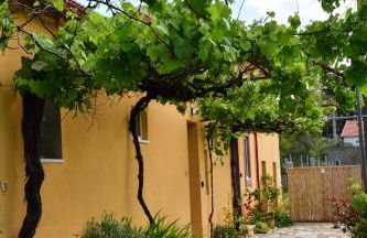 Quinta-lina de serpins - Foto 76