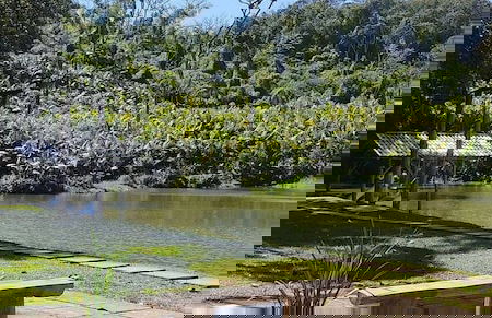 Vila Paraíso - Blumenau - SC - Photo 54