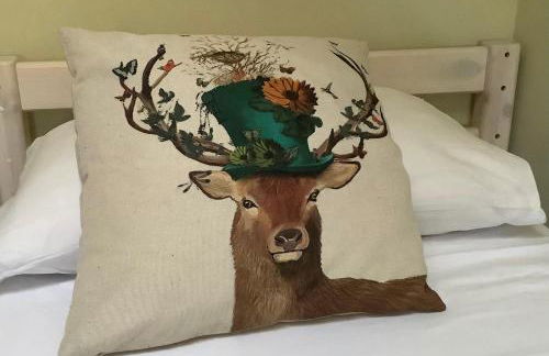 La cerbiatta - Foto 31