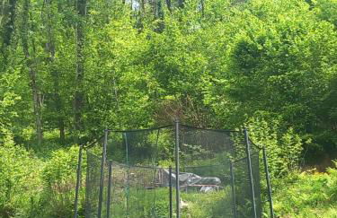 Le chalet a la ferme - Foto 2