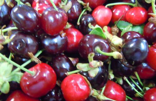 Agriturismo Le Carolee - Foto 77