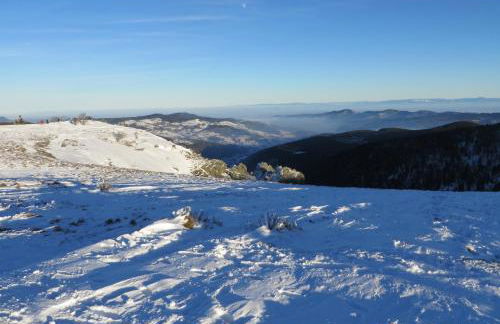 Petit Papillon - Foto 16