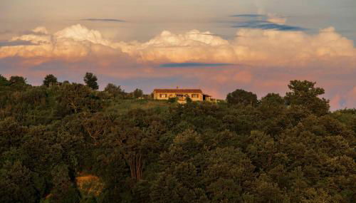 Casetta Tartuchino - Foto 5