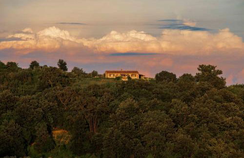 Casetta Tartuchino - Foto 5