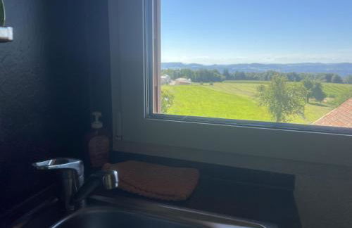 Haus Jehle - Foto 49