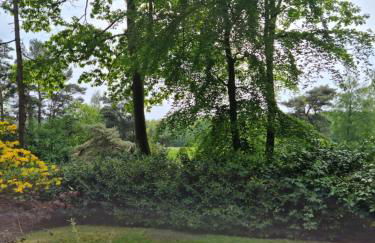 Waldhaus Dötlingen Ferienhaus im Naturpark - Foto 8