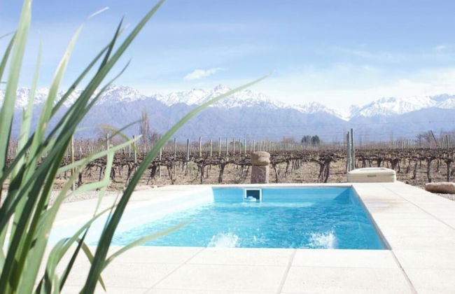 Finca Rosablanca - Foto 29